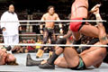 wwe2013皇家大战，官方最新消息。