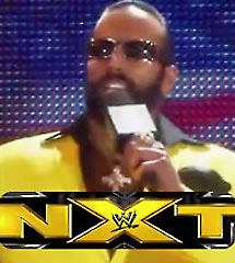 <b>WWE2013年7月18日【NXT最新赛事】</b>