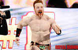 WWE30人皇家大战2014《高清图片》