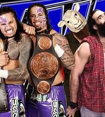 <b>WWE2014年5月28日【ME最新赛事】</b>