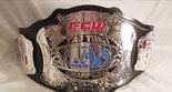 FCW_佛罗里达州冠军介绍