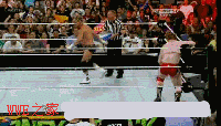 <b>WWE常见的十大绝招《动态图》</b>