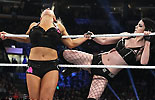 WWE女子4v4大赛《WWE2014强者生存》