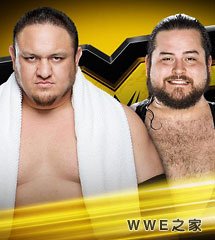 <b>WWE2016年3月31日【NXT最新赛事】</b>