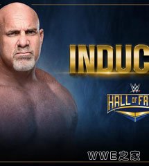 <b>WWE2017年4月8日【WWE2018名人堂】</b>
