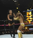 WWE2012年11月17日_WWE NXT2012.11.17