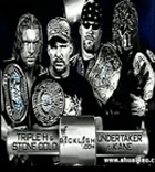 撼毁灭兄弟vs奥斯丁&Triple H