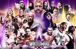 WWE摔跤狂热大赛30群星高清壁纸