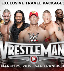 <b>WWE2015年3月29日_2015.03.29摔跤狂热31</b>