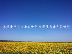 低调奢华有内涵的句子,有深度有涵养的句子