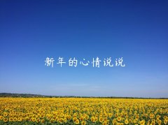新年的心情说说