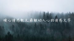 暖心情感散文,最触动人心的情感文字
