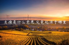 贞操是什么意思,究竟起源于哪里