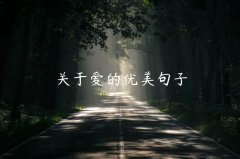 关于爱的优美句子