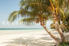 爸爸去世的伤心短语你长眠我思念