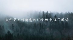 关于第五种情感的10个句子,你了解吗